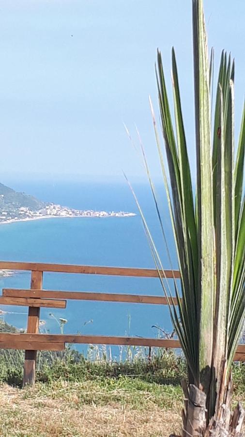 Tenuta Belvedere Cilento Montecorice Exteriör bild