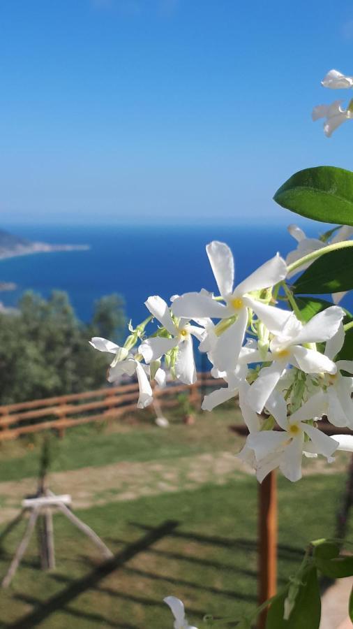 Tenuta Belvedere Cilento Montecorice Exteriör bild