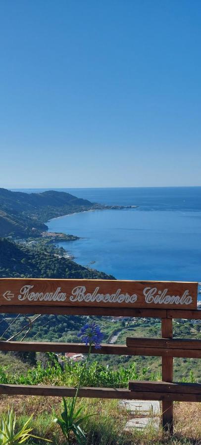 Tenuta Belvedere Cilento Montecorice Exteriör bild
