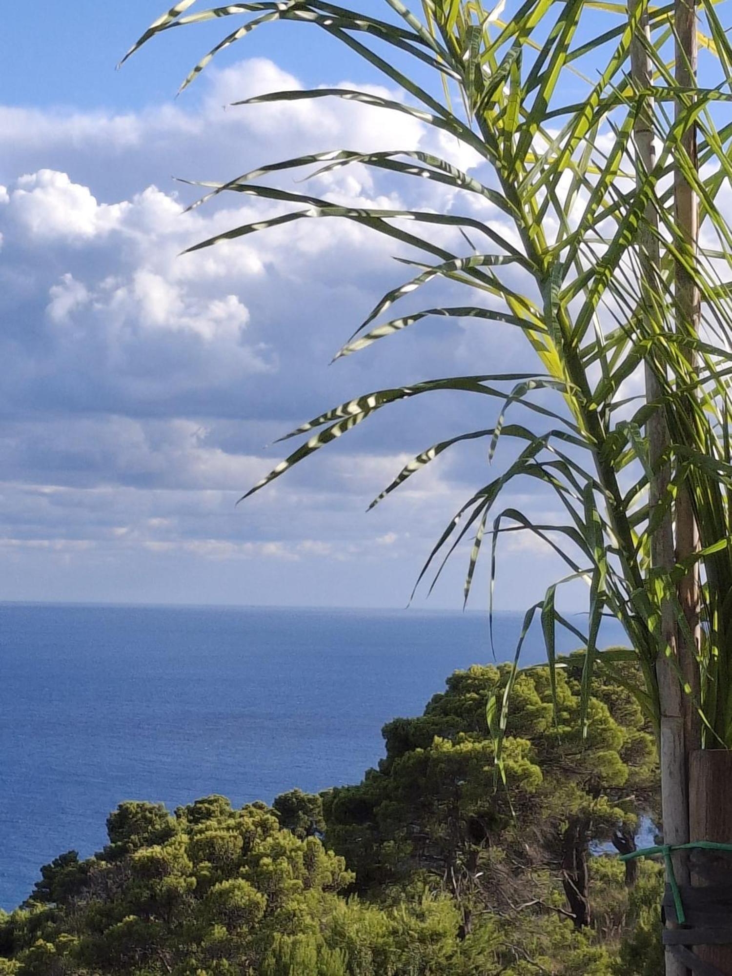 Tenuta Belvedere Cilento Montecorice Exteriör bild
